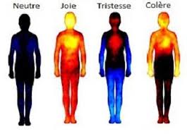 carte corporelle emotion zones touchées par emotion